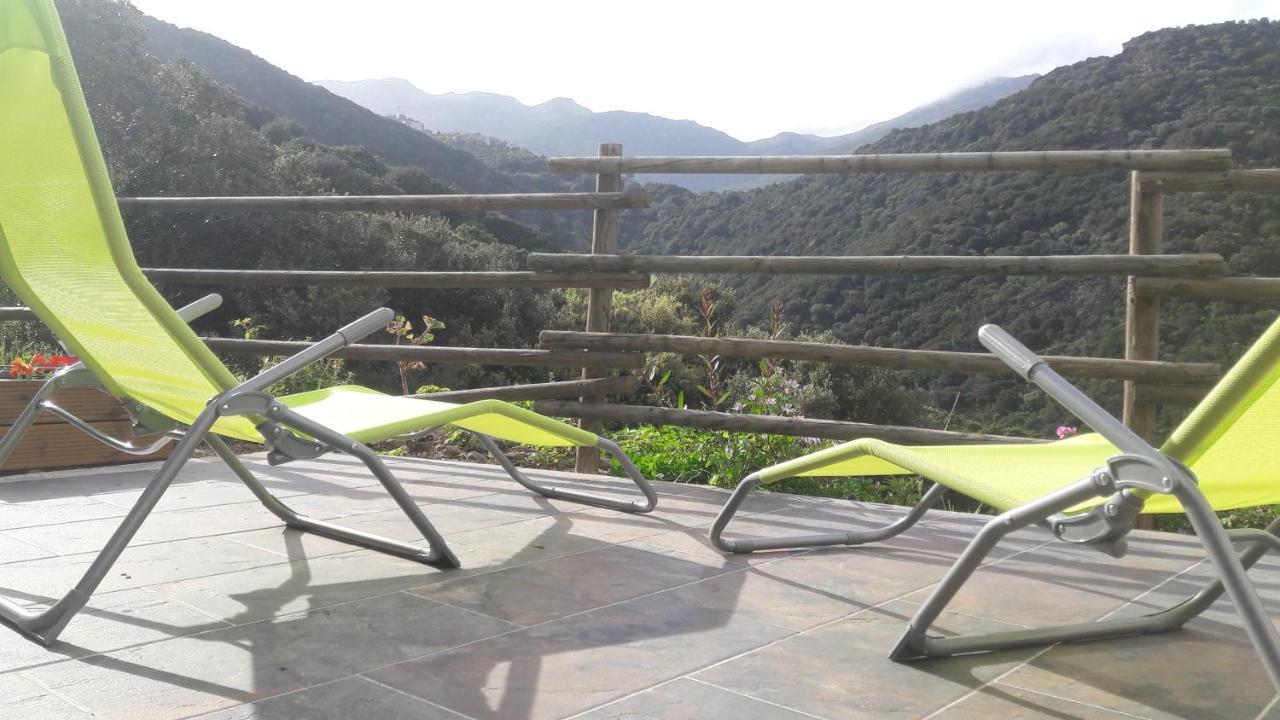 Appartement Giannoni San-Martino-di-Lota Esterno foto