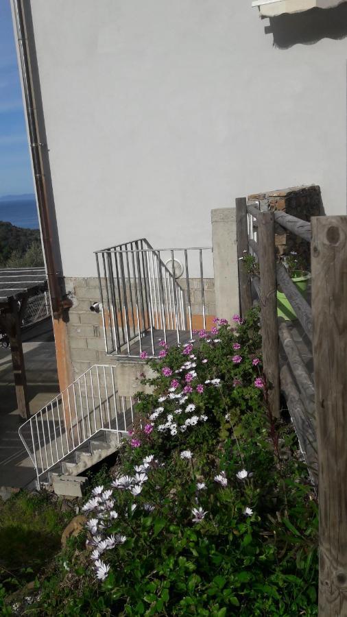 Appartement Giannoni San-Martino-di-Lota Esterno foto