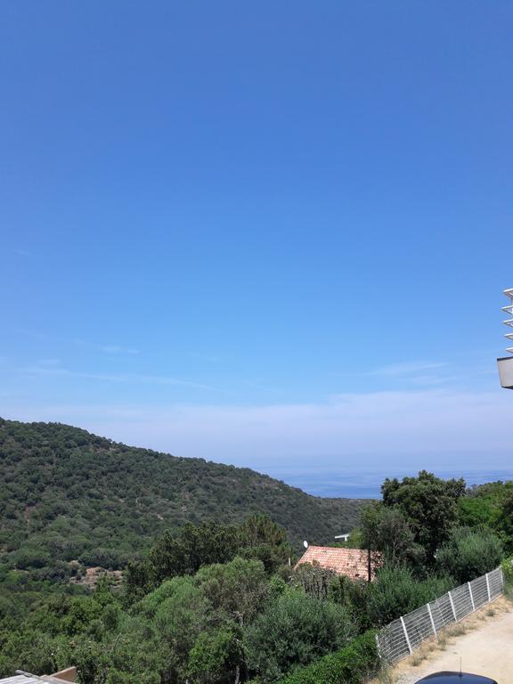 Appartement Giannoni San-Martino-di-Lota Esterno foto
