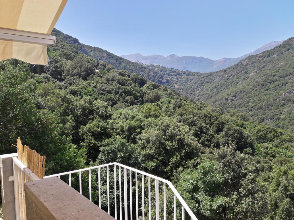 Appartement Giannoni San-Martino-di-Lota Esterno foto